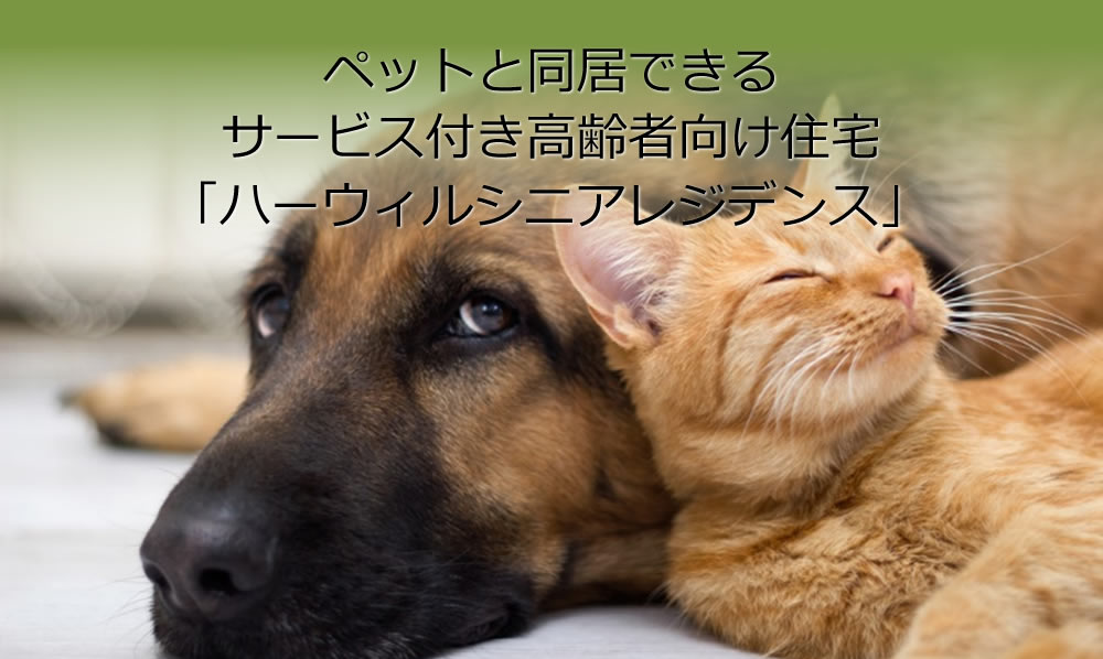  ペットと同居できる埼玉県のサービス付き高齢者向け住宅はハーウィルシニアレジデンス