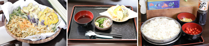 具だくさんのそうめん