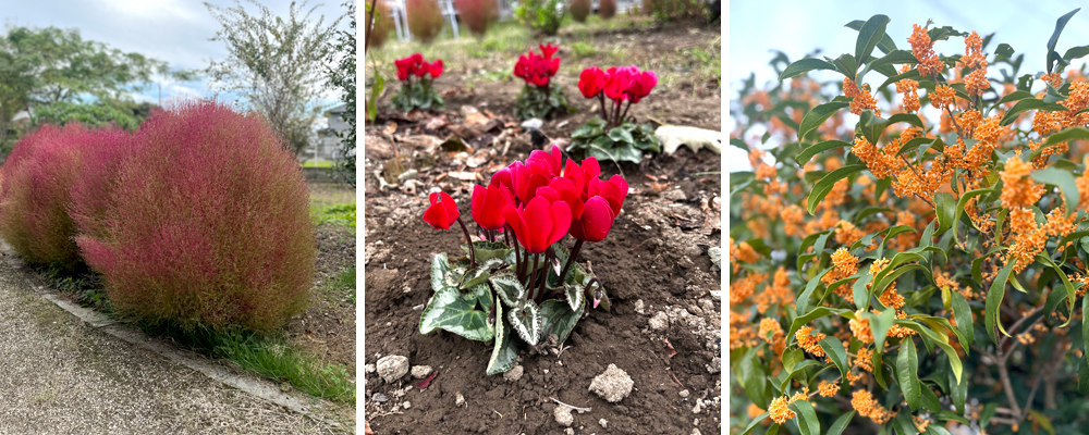 ハーウィル栗橋10月イベント